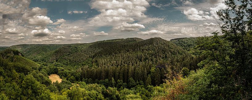 Forest landscape by Lima Fotografie