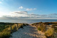 Strand van Noordwijk