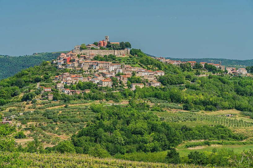 Vue sur la colline de Motovun, Istrie, Croatie par Jeroen de Jongh Photographie