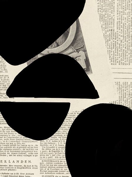 Document de synthèse VIII par Studio Palette