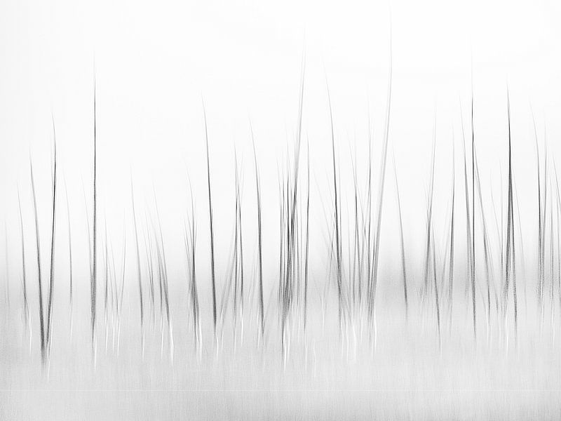 Wintry scenery in Yellowstone by Charles Lai