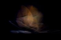 Goldene Blätter | Abstrakte Fotokunst