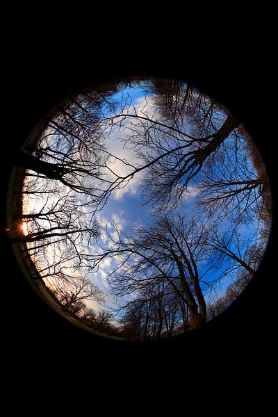 A view of the sky on a winter evening by Thomas Jäger