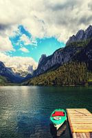 Allez-y Gosausee, Gosau plus