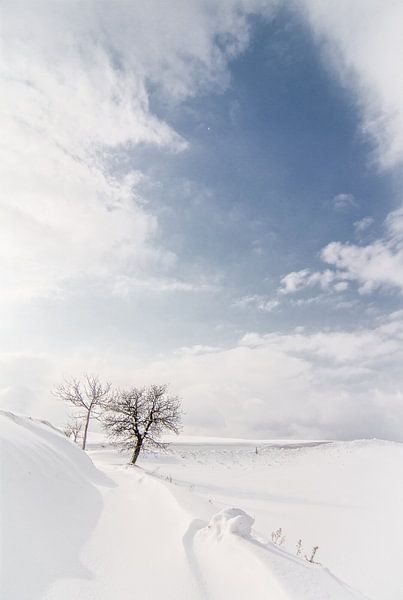 Schnee von Frans Scherpenisse