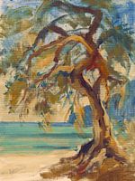 Der Olivenbaum am Strand, Paxos