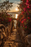 Stone staircase with flowers leading to a sea view at sunset