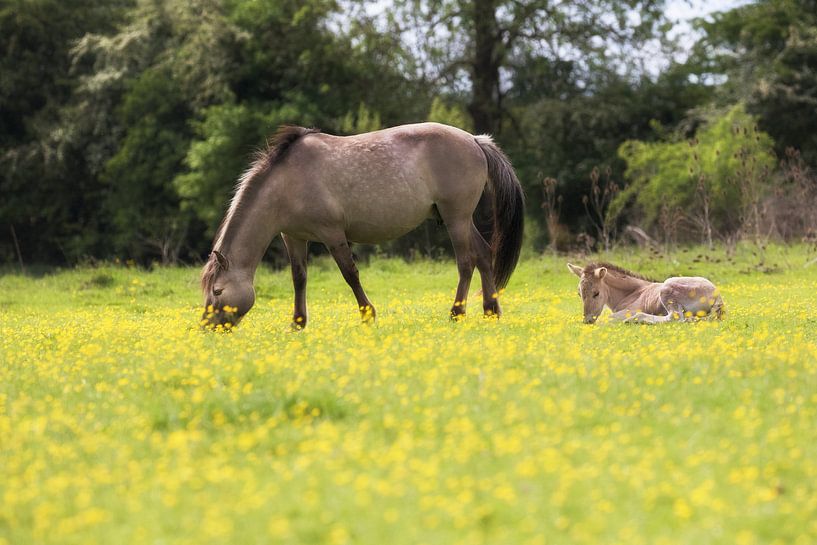 Neues Leben von peter reinders