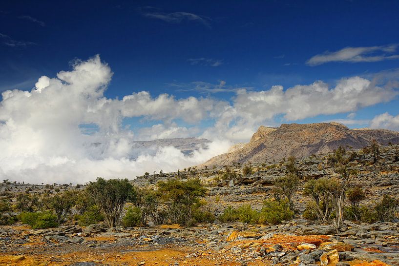 Berge in Oman von Yvonne Smits