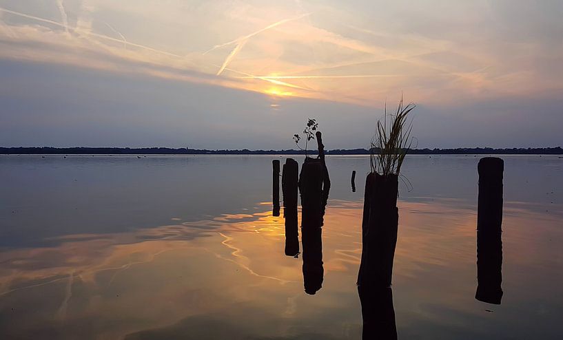 Le calme de Loosdrecht par Danielle Bosschaart