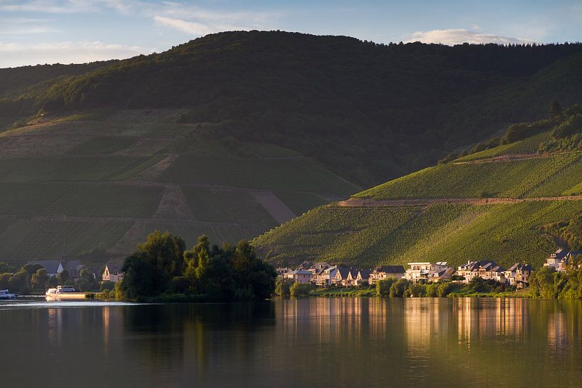 Heuvels aan de Moezel in de zomer van Dennis van de Water