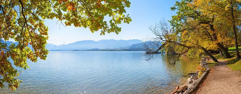 toscanapark Gmunden, lake Traunsee, autumnal colored trees at th par SusaZoom