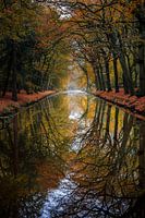 Spiegelungen des Herbstes