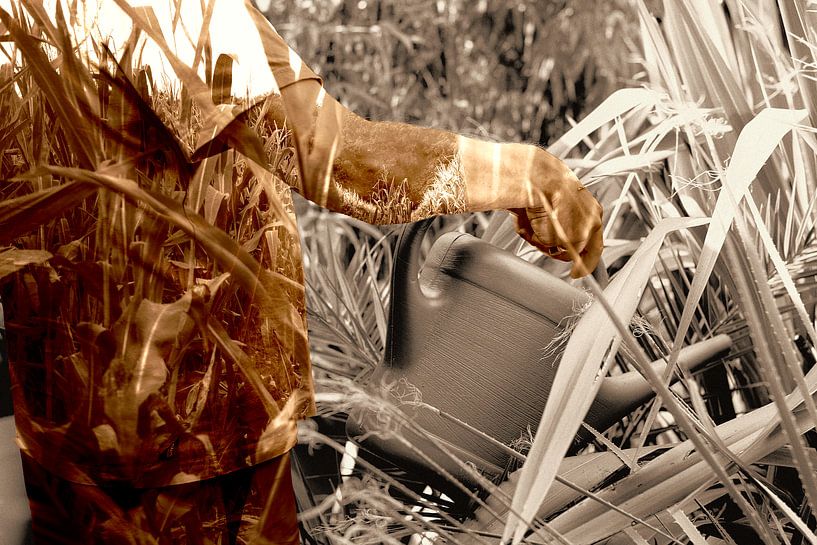 Liquid by True Color Stories