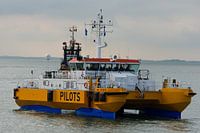 Loods catamaran in Westkapelle