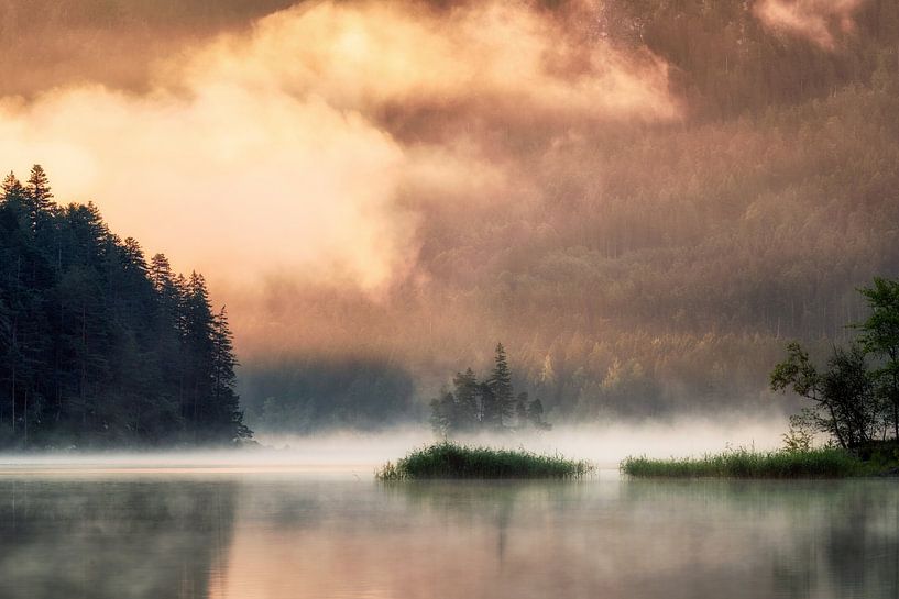 Morgennebel am Eibsee von Daniel Gastager