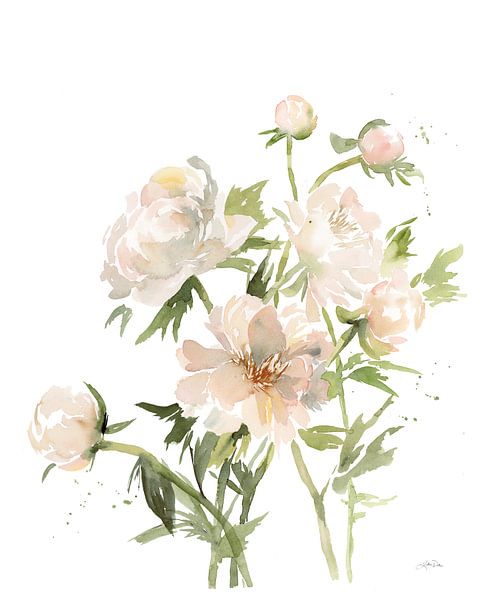 Peonies II, Katrina Pete by Wild Apple