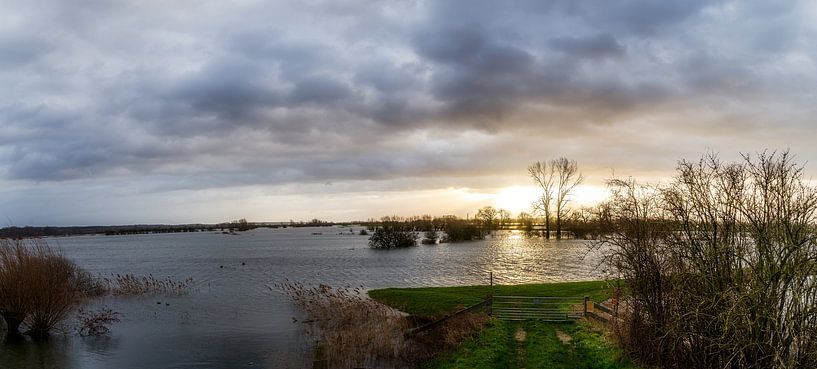 A flooded floodplain by Mart Houtman