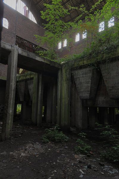 My green. by Sander de Wilde Photographic