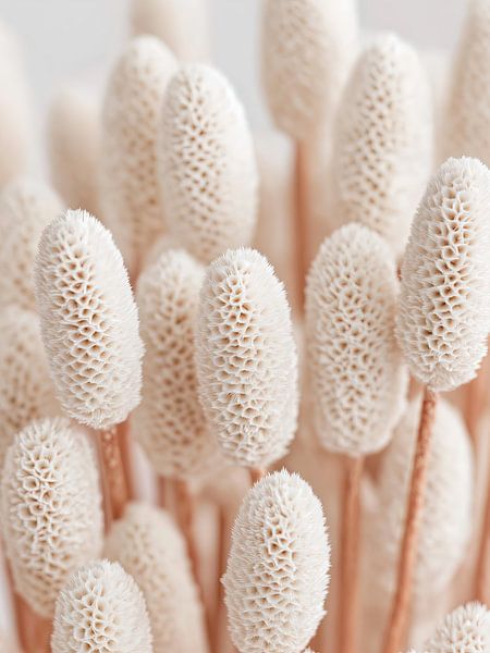 White Dream by Cats & Dotz