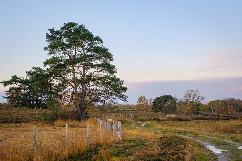Der Deutsche von Johan Vanbockryck