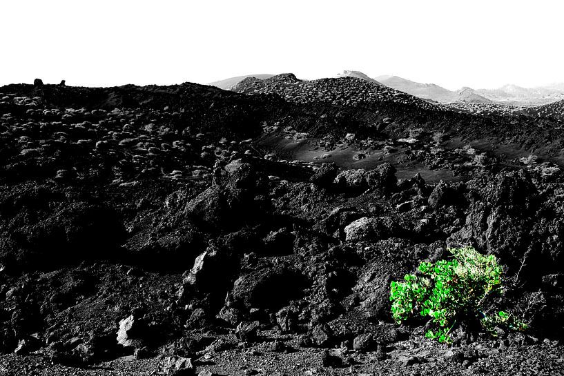 Débarqué par Marije Zwart