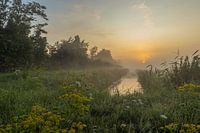 ein nebliger Sonnenaufgang