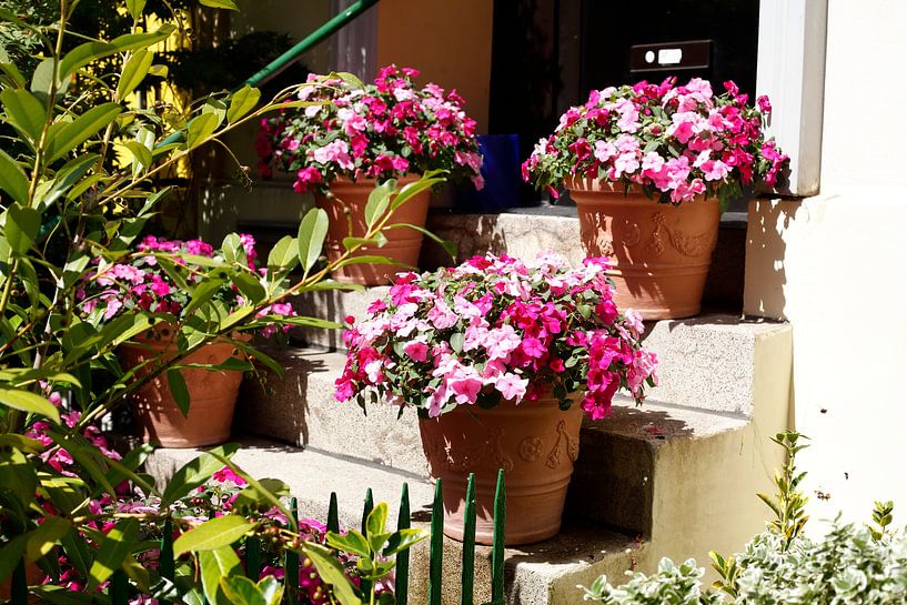 Stairs with flower pots, Bremen, Germany by Torsten Krüger