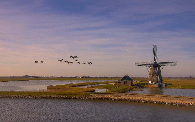 Vieux moulin sur l'île de Texel par Friedhelm Peters