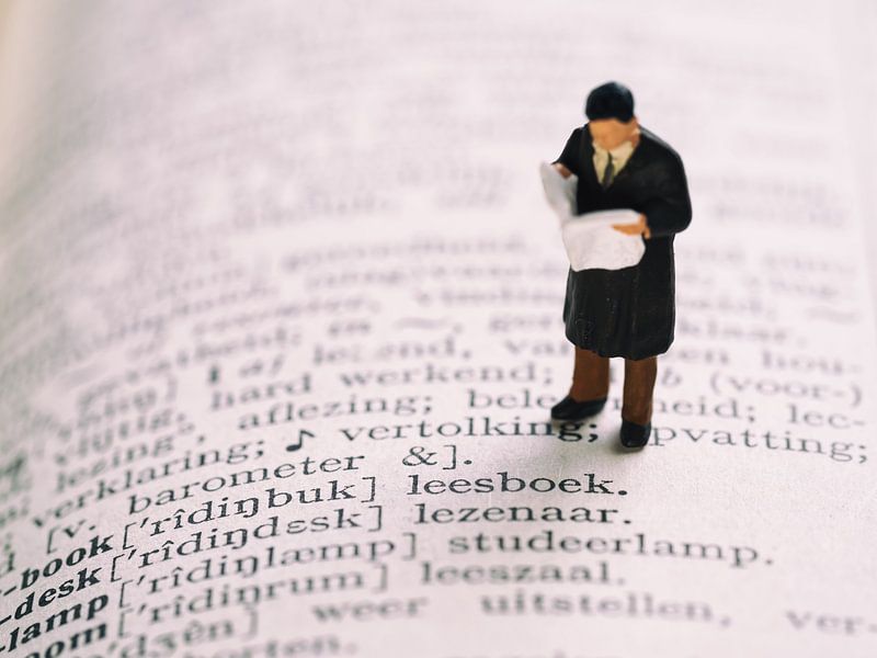 Man met krant #1 van Lex Schulte