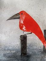 Red Bird