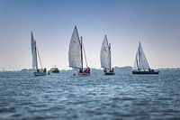 Sailing boats on the water ( Friesland - Frisian lakes )