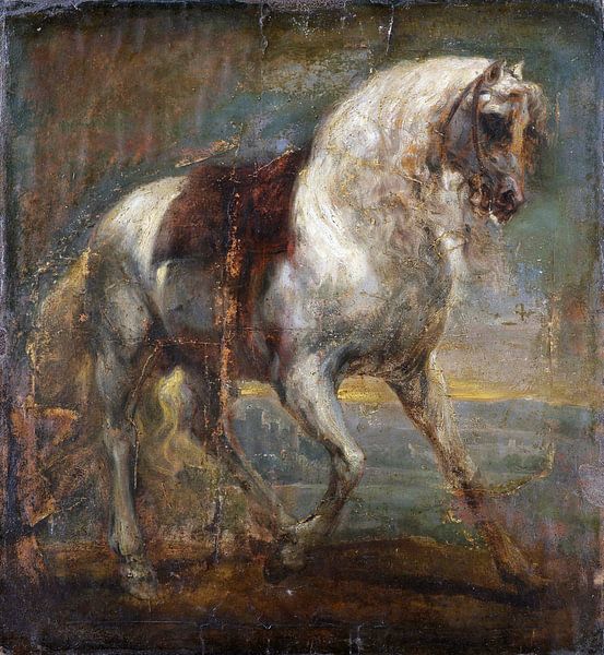 A Grey Horse, Antoon van Dyck, 1641 by Atelier Liesjes