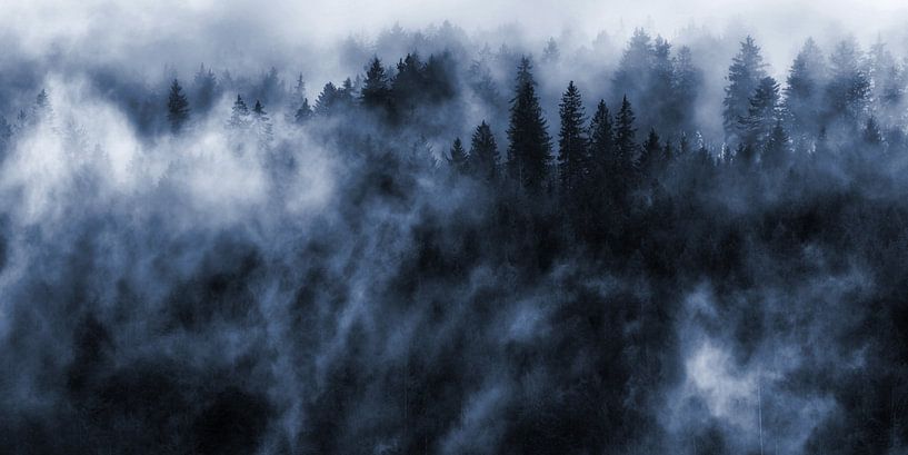 Forêt de brouillard par Jürgen Wiesler