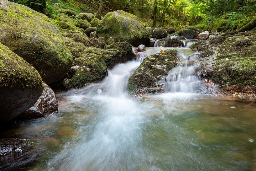 The stream by Hannes Cmarits