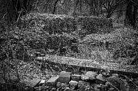 Bouwwerk van opgestapelde stoeptegels vergroeid met de natuur.