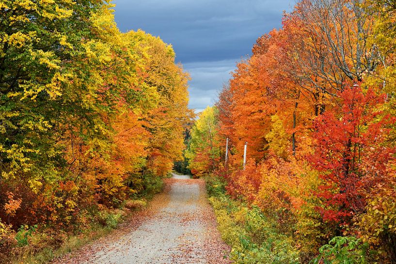 Eine Landstraße im Herbst von Claude Laprise