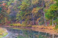 Autumn on Heidestein