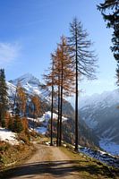 Herbstliche Wanderung in den Bergen