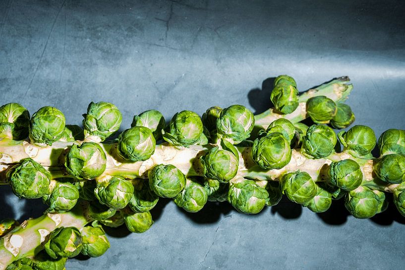 Brussels sprouts after harvesting by Ineke Huizing