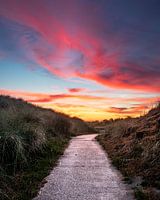 Le chemin en fauteuil roulant vers Kaapsduin