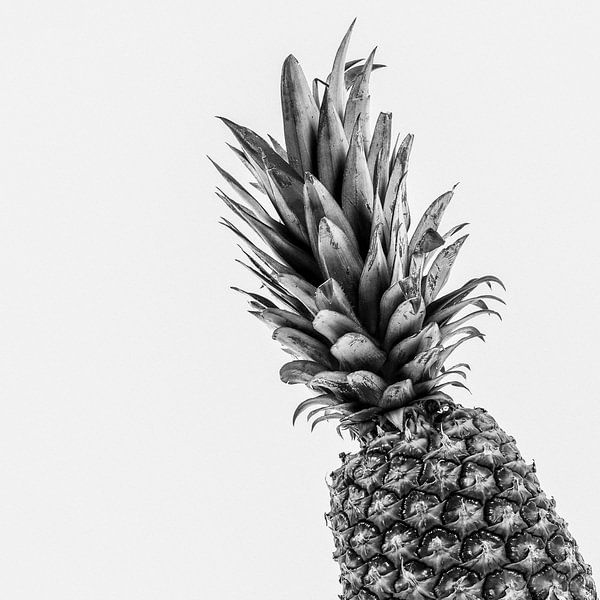 Ananas von Poster Art Shop