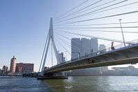 Erasmusbrug