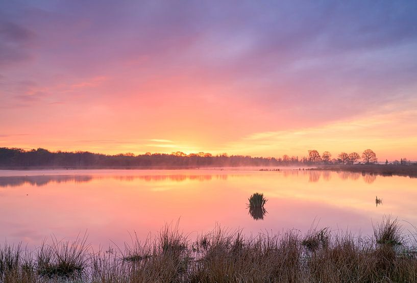 Fochteloërveen - Drenthe (Niederlande) von Marcel Kerdijk