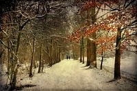 Winterlandschaft