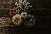 Sammlung von Kürbissen