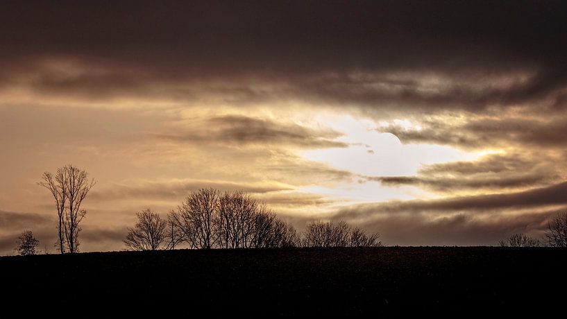 Eyserbos von Rob Boon