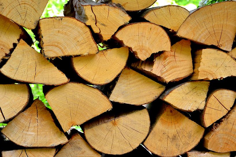 Brennholz für den Winter von Heiko Kueverling