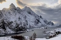 Sun shines on snowy landscape