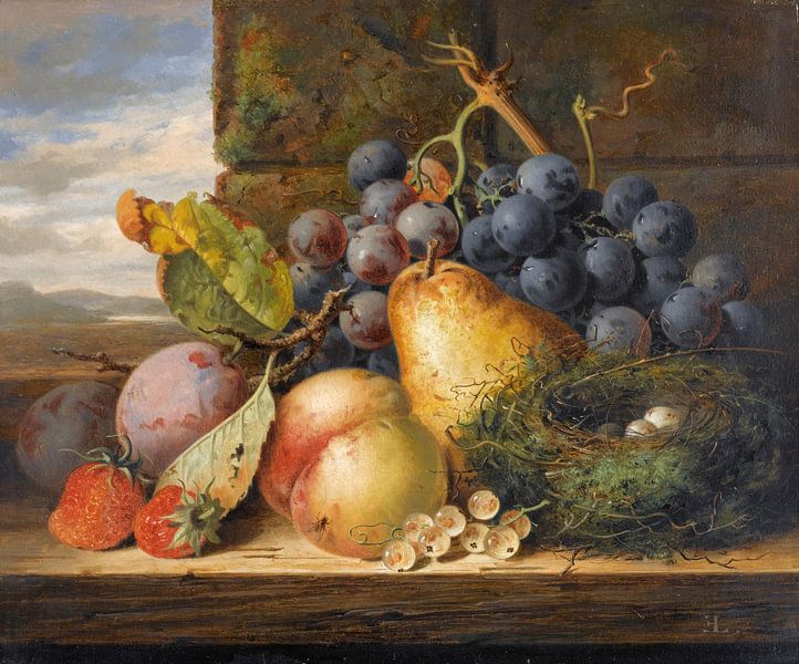 Still Life With A Bird’s Nest and Fruit, Edward Ladell by Masterful Masters